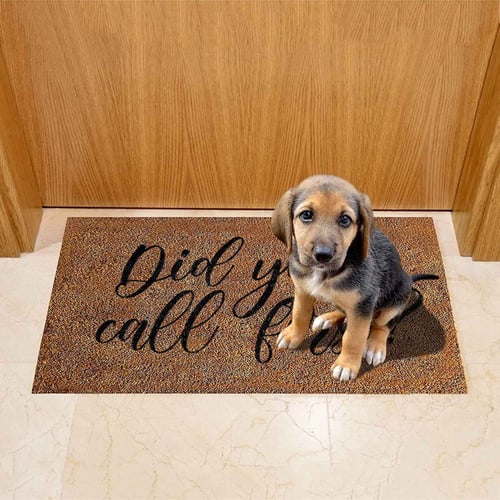 Dog Carpet Funny Letter Wipe Your Paws Mat Doormat 