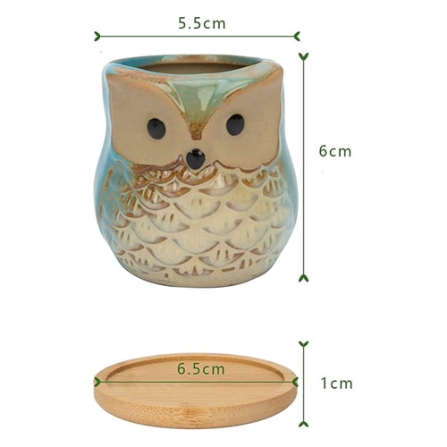 Ceramic Owl Succulent Planter Pot with Drainage Tray Cute Animal Cactus Flower 