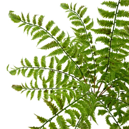 1x Artificial Branch Green Plants Wall Hanging Fern Leaf Simulation Bonsai Decor 