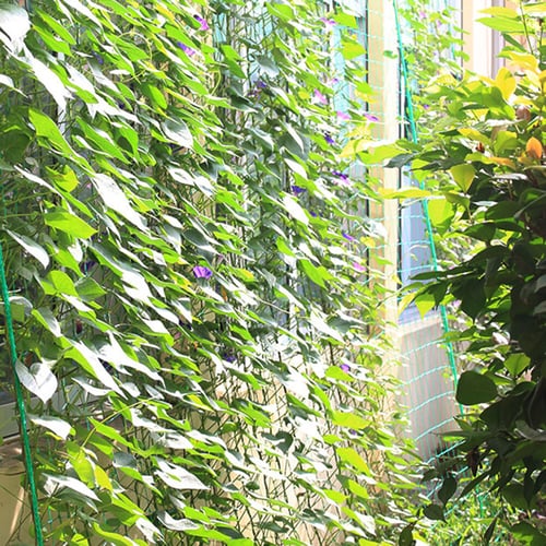 Nylon Trellis Netting Garden Support For Plant Climbing Net Plant Grow Fence 
