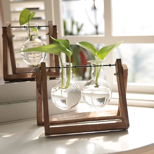 Terrarium Tabletop Flower Pot Wooden Frame Hydroponic Plant Vases Glass Vase 