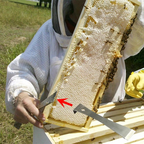 Beekeeping Tools Kit Bee Hive Smoker Scraper Beekeeping Equipment Beehive 