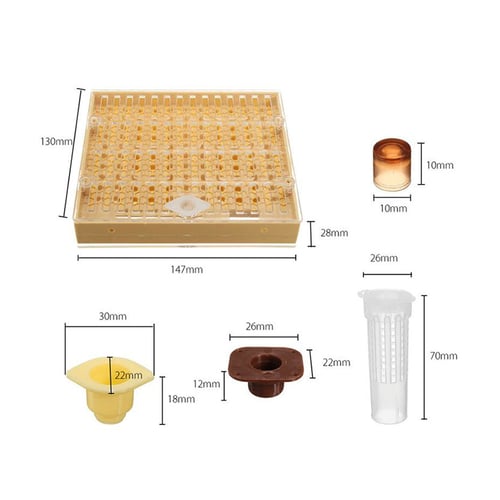 Bee Queen Rearing Cupkit Complete Box System Beekeeping Cage Kit/Set Cup  SALE 