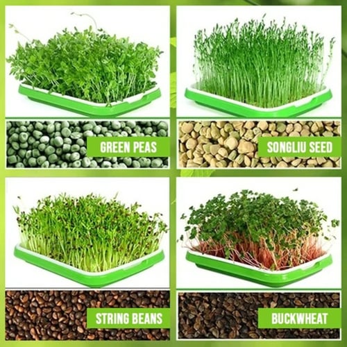 1x Plant Sprouter Tray Double Layer Soilless Culture Hydroponic Nursery Growing 