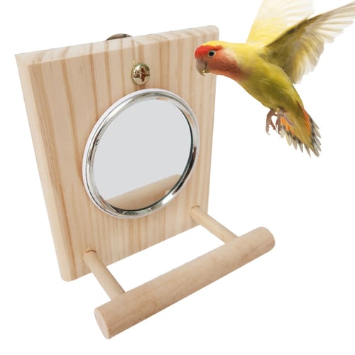 Stainless Steel Mirror Bird Cage Wooded Standing Rod Pet Parrots Perch Toy Birdcage Accessories Bird Cage Stand Supplies