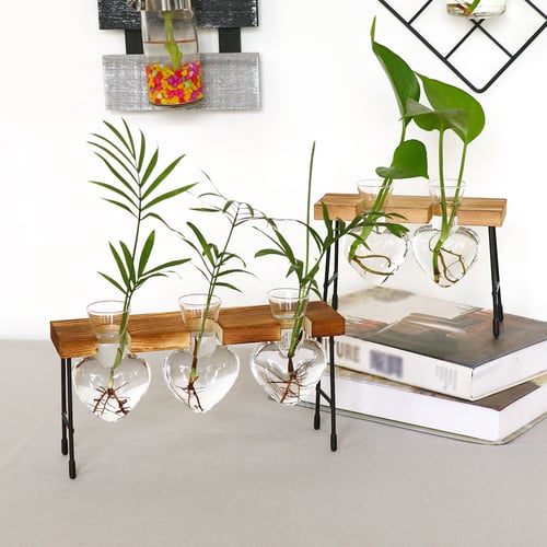 Heart Bonsai Hydroponic Plant Vases Clear Glass Vase Wooden Frame Flower Pot 