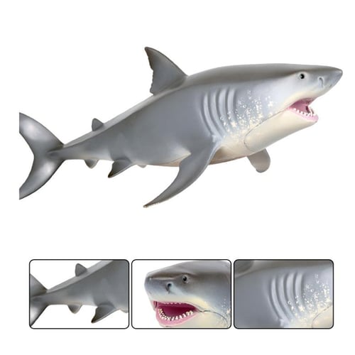 Luckychild Hollow Sea Life Savage Megalodon Whale Shark Model Decor Action Figure Marine Animal Educational Studying Toy Children Present Collection Buy Luckychild Hollow Sea Life Savage Megalodon Whale Shark Model Decor