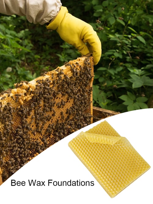 Honeycomb Wax Frames Beekeeper Beekeeping Foundation Bee Hive Portable