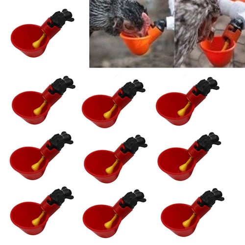 Automatic Feed Bird Coop Poultry Chicken Fowl Drinker Water Drinking Cups 12PCS 