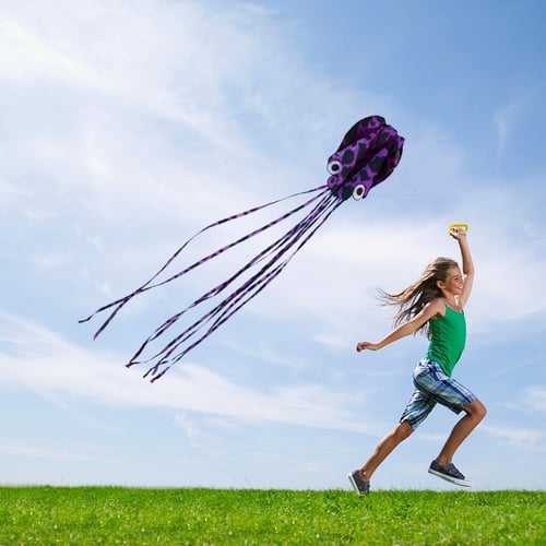 4m Colorful Tail Single Line Stunt Soft Blue Octopus POWER Outdoor Fun Kite Kids