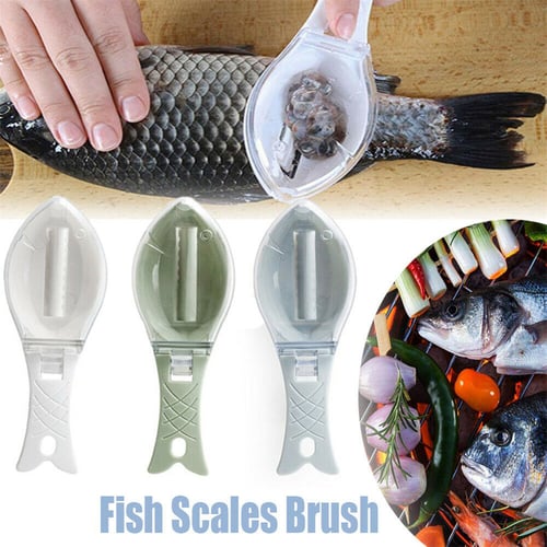 Fish Skin Brush Scale Grater Peeler Tool Supplies 