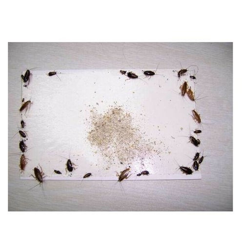 6 Pcs Super Sticky Glue Board Mouse Traps Bugs Spiders Cockroach Insects Trapper for sale online 