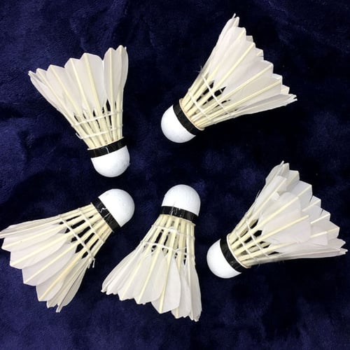 New 12Pcs White Feather Badminton Ball Shuttlecocks Sport Training Casual Game 