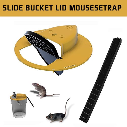 2 Pcs Walk The Plank Rodent Mouse Rat Trap Auto Reset Mice Catcher Tool 
