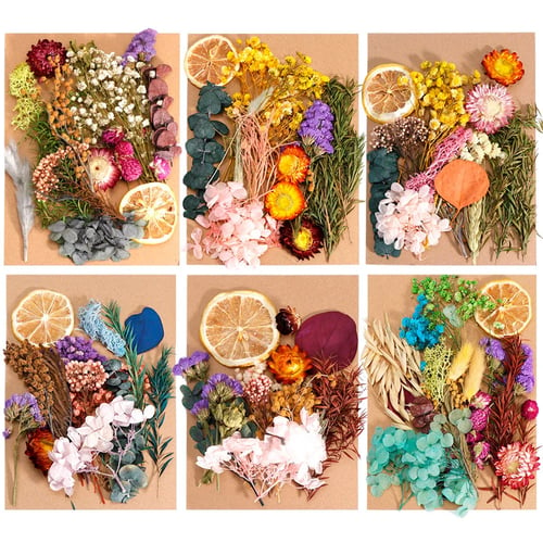 1 Box Real Dried Flower Dry Plants for Aromatherapy Candle Epoxy Resin Pendant Necklace Jewelry Making Craft DIY Accessories 
