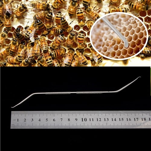 1Pc Stainless Steel Two-way Grafiting Needle Tools Beekeepers Bee Keeping Tools 