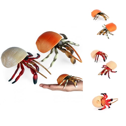 Hermit Crab Desktop Decoration Ocean Animal Model Toy for Desktop Useful Ocean  Sea Animal Model Collectable Anti-scratch - buy Hermit Crab Desktop  Decoration Ocean Animal Model Toy for Desktop Useful Ocean Sea