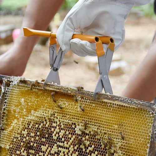 Box Bucket Rack Honey Holder Frame Grip Hive Farm Supplies Equipment Bee 