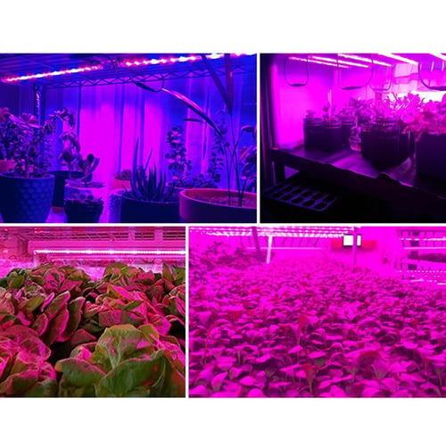 Indoor LED Plants Grow Light Strips Waterproof Full Spectrum Planting Fill Lamp 