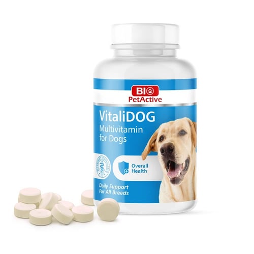 Folic acid and dogs online