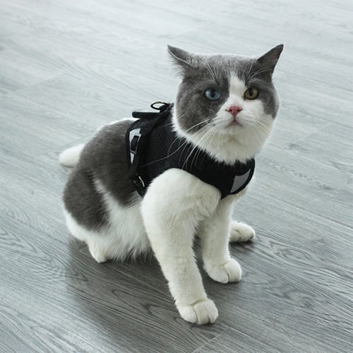 Mesh Small Cat Harness and Leash Set Adjustable Vest Antiescape Proof for  Pet Kitten Easy Control Reflective Puppy Dogs Harness