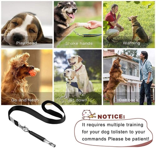 4Pcs Dog Training Set Pet Training Clicker with Whistles, Dog Training  Whistle Ultrasonic Professional Dog Whistles with Lanyard - Barking Control