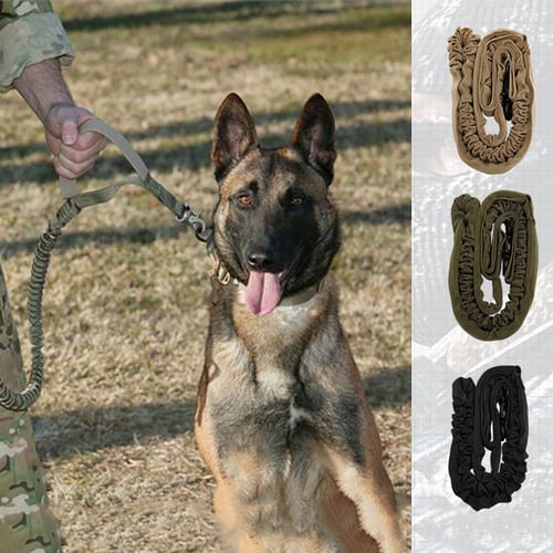Military dog leash top