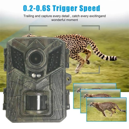 wireless wildlife observation camera
