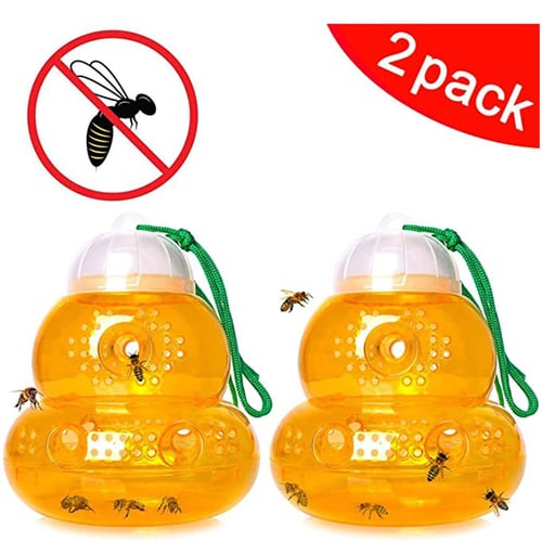 Aspectek Fruit Fly Trap, Pumpkin Shape Flies Traps, Pack of 2