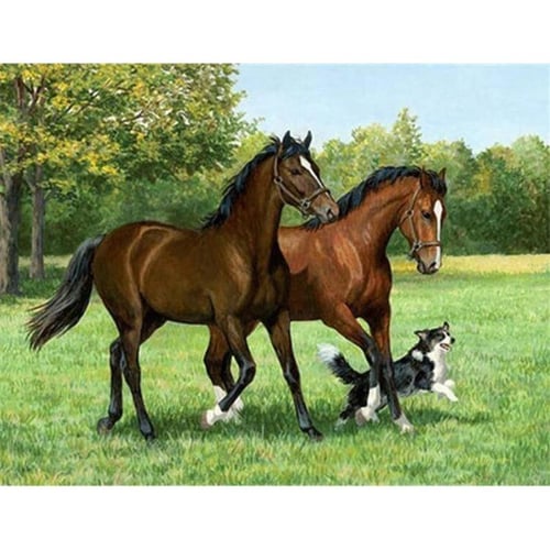 Cheap Diamond Art Painting Animal Cat Pictures Of Rhinestones Diamond  Embroidery Sale Horse Full Mosaic Decor For Home