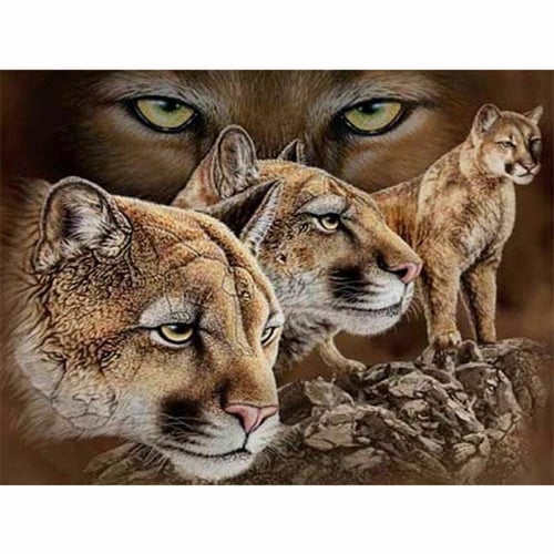 Cougar Animal Diamond Painting Cute Design Embroidery Portrait House  Decorations