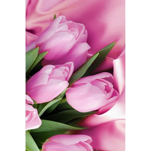 Pink Tulip, 5D Diamond Painting Kits