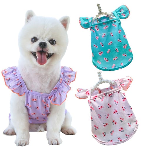 Shih Tzu Dog Clothing & Shoes L for sale