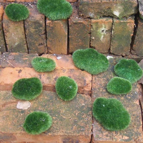 Artificial Moss Rocks, Artificial Moss Stones Green 5 Size Resin Flocked  Moss For Aquarium 