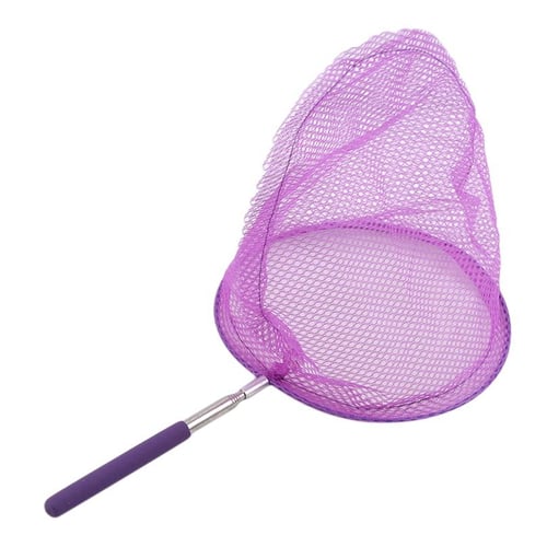 Rainbow Butterfly Net Kids Fishing Net for Children Funny Tadpole Bug  Catching Insects Net - buy Rainbow Butterfly Net Kids Fishing Net for  Children Funny Tadpole Bug Catching Insects Net: prices, reviews