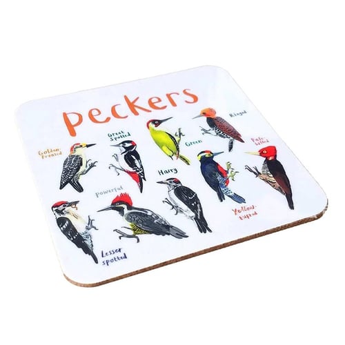 Bird Pun Coasters, Funny Coasters for Drinks, Coaster Set of 6Pcs Table Top  Protection for Bar Housewarming Gift Coffee 