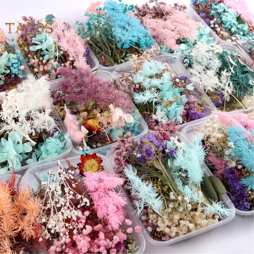 1 Box Real Dried Flower Dry Plants For Aromatherapy Candle Making  Accessories