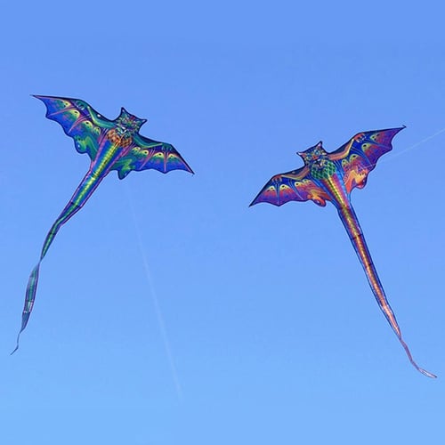 3D Kite Huge Frameless Soft Parafoil Giant Whale Flying Kite