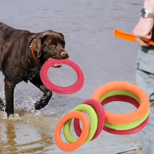 Dog Training Toys Outdoor Sport Flying Disc Interactive Pet Toy