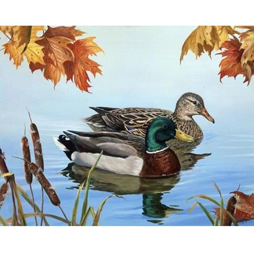 Best Deal for 5D Diamond Art Painting Kits for Adults DIY Wild duck in