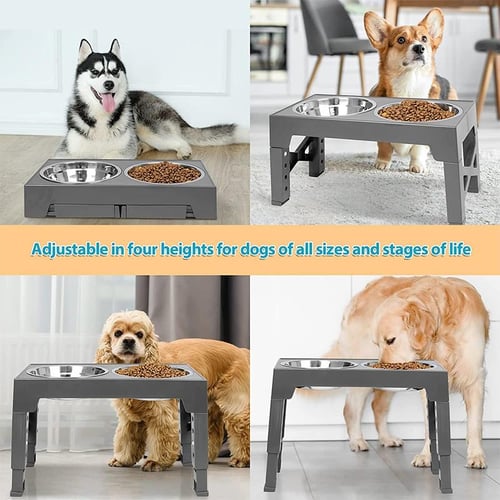 No Spill Dog Dish Adjusts to 3 Heights Adjustable Elevated Dog Bowl - China Pet  Food Feeder Bowl and Raised Dog Bowl for Large Medium Small Dogs price