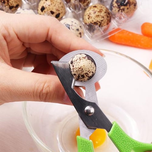 Talos Stainless Steel Quail Bird Egg Shell Opener Scissor Cutter