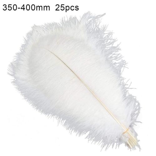 300pcs Feathers White, Natural Craft Goose Feathers, For Costume, Bags,  Earrings