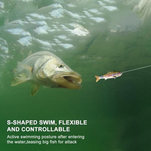 Bass Fishing Lures 3D Fisheye Simulation Hard Bait Multi Jointed