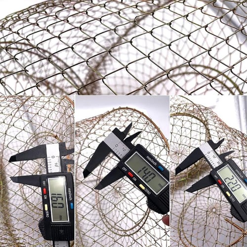 Metal Rustproof Fish Basket Collapsible Fishing Net Cage Fish Baskets For  Live Fish Robust Easy To Use - buy Metal Rustproof Fish Basket Collapsible  Fishing Net Cage Fish Baskets For Live Fish