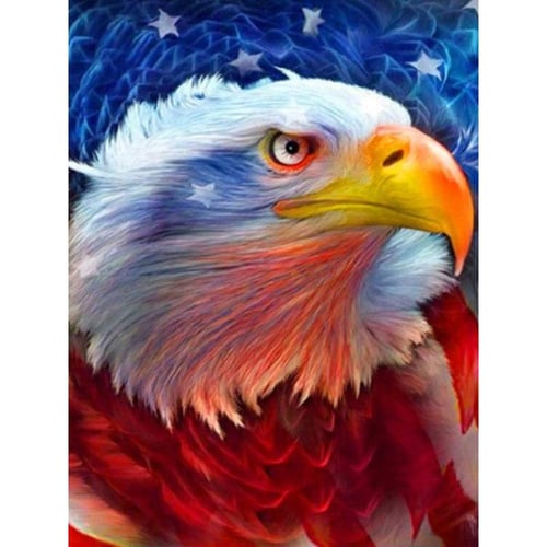 Full Drill Square Diamond Painting 5d Eagle Animal Home Decoration  Embroidery Picture Art Kits