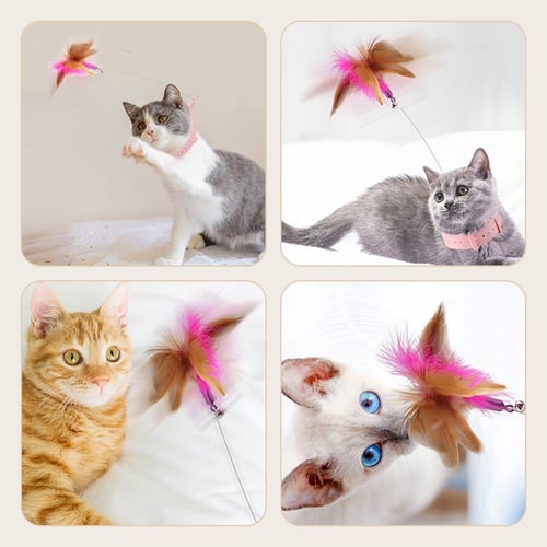 Silicone Cat Collar Feather Cat Teaser Toys Interactive Games Funny Toys  For Cat Feather Teaser Stick Pets Supplies - buy Silicone Cat Collar Feather  Cat Teaser Toys Interactive Games Funny Toys For