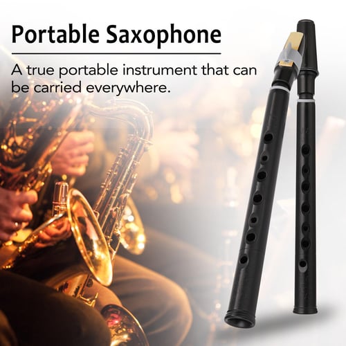 1 Set of Pocket Saxophone Kit Mini Sax Portable Instrument Professional  Instrument