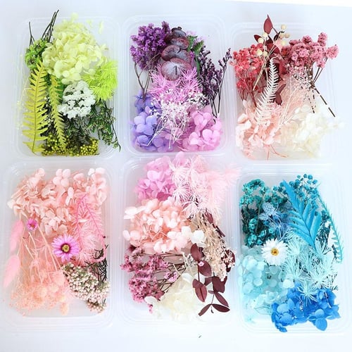 dried flowers nail decorations natural floral