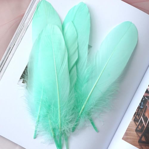 Natural Goose Feathers Small Floating Colourful Swan White Feather Plume  For Craft Wedding Jewelry Home Decoration Plumes